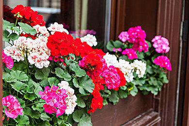 《赛博朋克2077》PS4版1.0 vs 1.31补丁 能稳30帧了